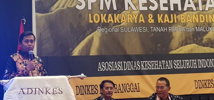 Lokakarya SPM Kesehatan bersama ADINKES Provinsi SULTENG